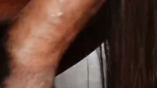 Bibit Cintabc|Rumah Kosong22|